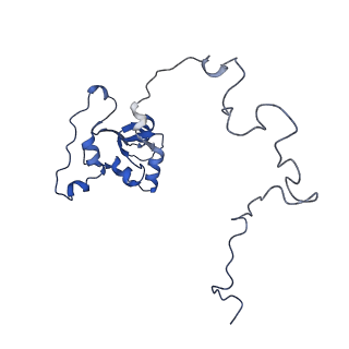15100_8a22_Aj_v1-1
Structure of the mitochondrial ribosome from Polytomella magna
