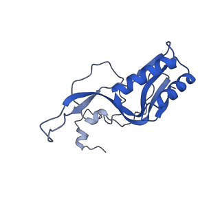 15100_8a22_Ak_v1-1
Structure of the mitochondrial ribosome from Polytomella magna