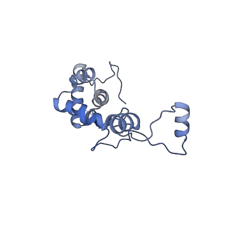 15100_8a22_Al_v1-1
Structure of the mitochondrial ribosome from Polytomella magna