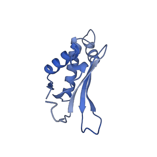 15100_8a22_Am_v1-1
Structure of the mitochondrial ribosome from Polytomella magna