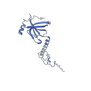 15100_8a22_An_v1-1
Structure of the mitochondrial ribosome from Polytomella magna
