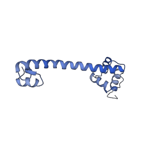15100_8a22_Ao_v1-1
Structure of the mitochondrial ribosome from Polytomella magna