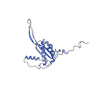 15100_8a22_Aq_v1-1
Structure of the mitochondrial ribosome from Polytomella magna
