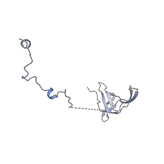 15100_8a22_As_v1-1
Structure of the mitochondrial ribosome from Polytomella magna
