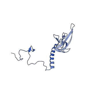 15100_8a22_Au_v1-1
Structure of the mitochondrial ribosome from Polytomella magna