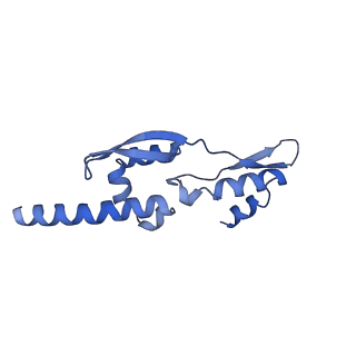 15100_8a22_Av_v1-1
Structure of the mitochondrial ribosome from Polytomella magna