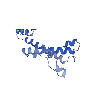 15100_8a22_Aw_v1-1
Structure of the mitochondrial ribosome from Polytomella magna