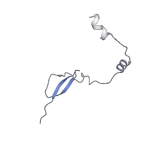 15100_8a22_Ay_v1-1
Structure of the mitochondrial ribosome from Polytomella magna
