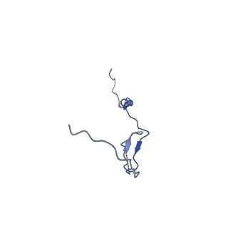 15100_8a22_Az_v1-1
Structure of the mitochondrial ribosome from Polytomella magna