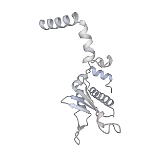 15100_8a22_BA_v1-1
Structure of the mitochondrial ribosome from Polytomella magna