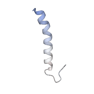 15100_8a22_BC_v1-1
Structure of the mitochondrial ribosome from Polytomella magna
