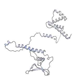 15100_8a22_BD_v1-1
Structure of the mitochondrial ribosome from Polytomella magna