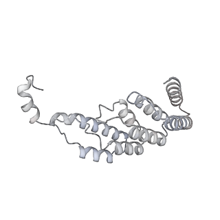 15100_8a22_BE_v1-1
Structure of the mitochondrial ribosome from Polytomella magna