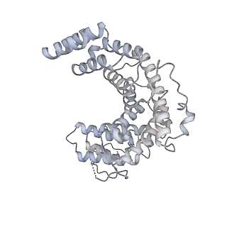 15100_8a22_BF_v1-1
Structure of the mitochondrial ribosome from Polytomella magna
