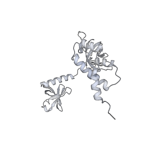 15100_8a22_Ba_v1-1
Structure of the mitochondrial ribosome from Polytomella magna