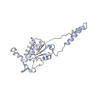 15100_8a22_Bb_v1-1
Structure of the mitochondrial ribosome from Polytomella magna