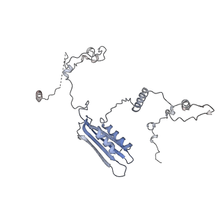 15100_8a22_Bc_v1-1
Structure of the mitochondrial ribosome from Polytomella magna