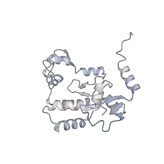 15100_8a22_Bd_v1-1
Structure of the mitochondrial ribosome from Polytomella magna
