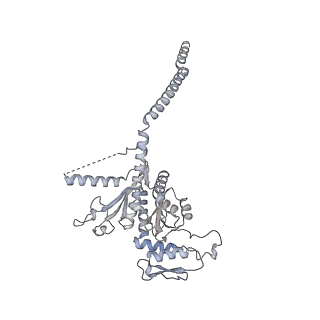 15100_8a22_Bh_v1-1
Structure of the mitochondrial ribosome from Polytomella magna