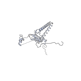 15100_8a22_Bi_v1-1
Structure of the mitochondrial ribosome from Polytomella magna