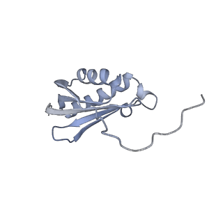 15100_8a22_Bk_v1-1
Structure of the mitochondrial ribosome from Polytomella magna
