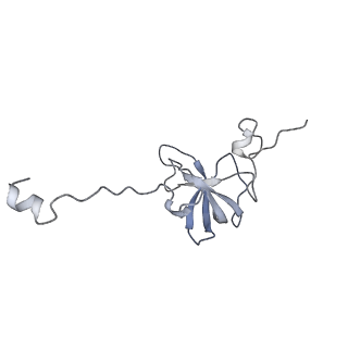 15100_8a22_Bl_v1-1
Structure of the mitochondrial ribosome from Polytomella magna