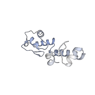 15100_8a22_Bm_v1-1
Structure of the mitochondrial ribosome from Polytomella magna