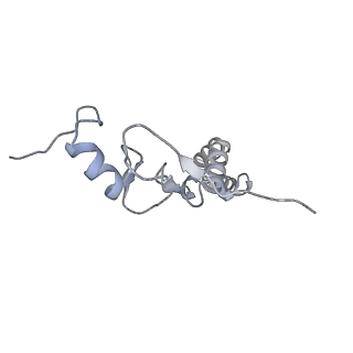 15100_8a22_Bn_v1-1
Structure of the mitochondrial ribosome from Polytomella magna