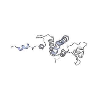 15100_8a22_Bo_v1-1
Structure of the mitochondrial ribosome from Polytomella magna
