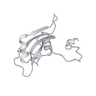 15100_8a22_Bp_v1-1
Structure of the mitochondrial ribosome from Polytomella magna