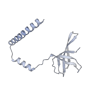 15100_8a22_Bq_v1-1
Structure of the mitochondrial ribosome from Polytomella magna
