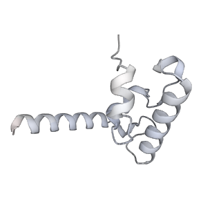 15100_8a22_Br_v1-1
Structure of the mitochondrial ribosome from Polytomella magna