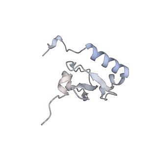 15100_8a22_Bs_v1-1
Structure of the mitochondrial ribosome from Polytomella magna