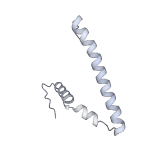 15100_8a22_Bt_v1-1
Structure of the mitochondrial ribosome from Polytomella magna