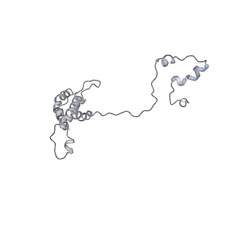15100_8a22_Bu_v1-1
Structure of the mitochondrial ribosome from Polytomella magna