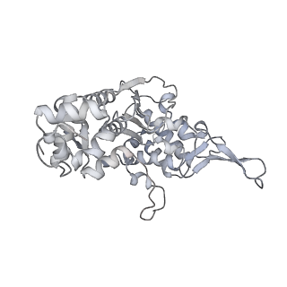 15100_8a22_Bw_v1-1
Structure of the mitochondrial ribosome from Polytomella magna
