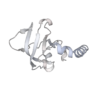 15100_8a22_Bz_v1-1
Structure of the mitochondrial ribosome from Polytomella magna