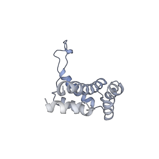 15100_8a22_Ub_v1-1
Structure of the mitochondrial ribosome from Polytomella magna