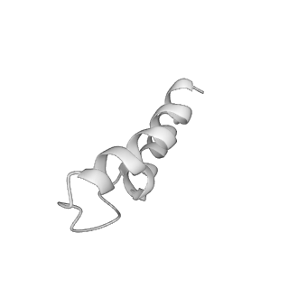 15100_8a22_Ue_v1-1
Structure of the mitochondrial ribosome from Polytomella magna