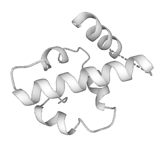 15100_8a22_Uf_v1-1
Structure of the mitochondrial ribosome from Polytomella magna