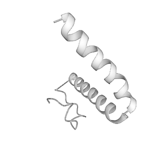 15100_8a22_Ug_v1-1
Structure of the mitochondrial ribosome from Polytomella magna