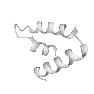 15100_8a22_Uh_v1-1
Structure of the mitochondrial ribosome from Polytomella magna