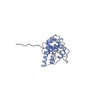 15100_8a22_Xa_v1-1
Structure of the mitochondrial ribosome from Polytomella magna