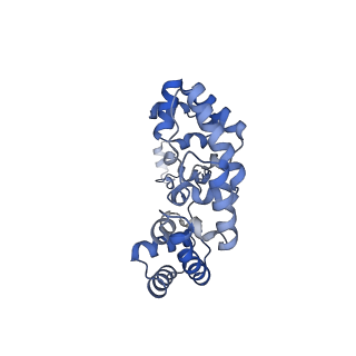 15100_8a22_Xb_v1-1
Structure of the mitochondrial ribosome from Polytomella magna