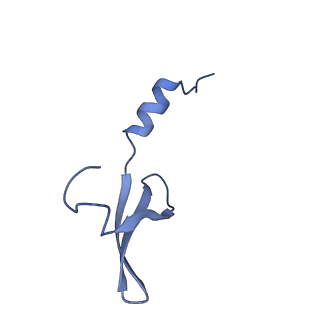 15100_8a22_Xc_v1-1
Structure of the mitochondrial ribosome from Polytomella magna