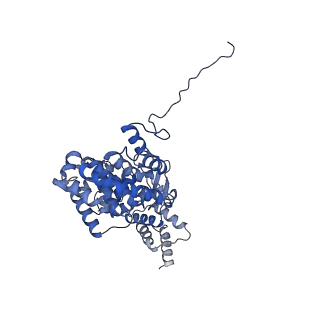 15100_8a22_Xd_v1-1
Structure of the mitochondrial ribosome from Polytomella magna