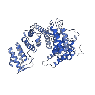 15100_8a22_Xe_v1-1
Structure of the mitochondrial ribosome from Polytomella magna