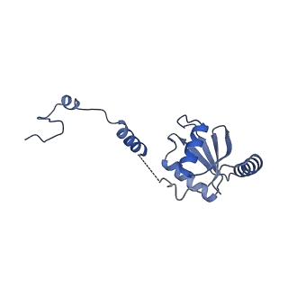 15100_8a22_Xh_v1-1
Structure of the mitochondrial ribosome from Polytomella magna