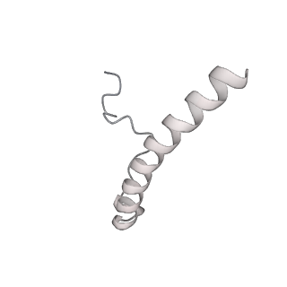 15100_8a22_Yb_v1-1
Structure of the mitochondrial ribosome from Polytomella magna
