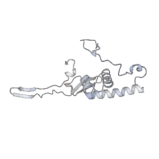 15100_8a22_Yc_v1-1
Structure of the mitochondrial ribosome from Polytomella magna